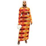 Fashion Casual 3D Printed Long Sleeve Slim Dress