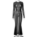 Spring Women's Fashionable Sexy See-Through Mesh Long-Sleeved Slim Dress