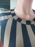 Women's Casual Fashion Striped Fringe Dress