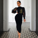 Women Half Turtle Neck Mesh See-Through Black Lantern Sleeve Dress