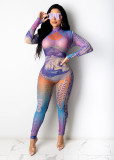 Women's Sexy Dollar Print Mesh Long Sleeve Jumpsuit