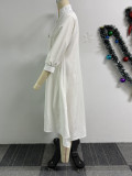 Women Solid Irregular Lantern Sleeve Dress