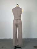 Women 's Spring V-Neck Sleeveless Vest Wide-Leg Trousers Casual Suit