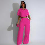 Women's Summer Fashion Turndown Collar Short Sleeve High Waisted Wide Leg Two Piece Pants Set