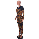 Women's Leopard Print See-Through Mesh Patchwork Sexy Tight Fitting Hooded Jumpsuit
