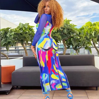Women's Mesh Long Sleeve Square Neck Printed Dress