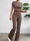 Women's Spring Summer Casual Solid Color Slim Fit Short Sleeve Two Piece Pants Set