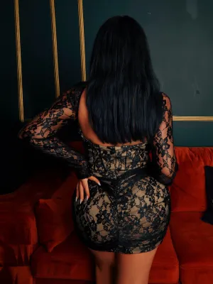 Sexy See-Through Long Sleeve Bodycon Dress Plus Size Lace Club Dress