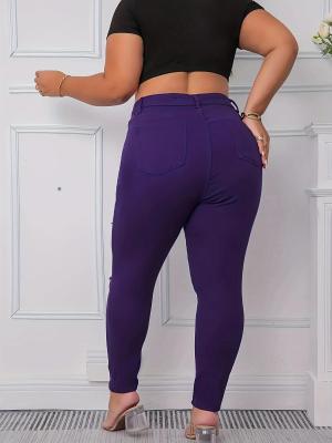 Spring Purple Plus Size Tight Fitting Denim Pants