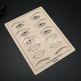 10PCS 6 X 8 Inches Stencil Tattoo Practice Skin For Permanent Tattoo Eyebrow Accessories Supply