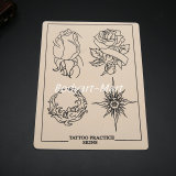 10PCS 6 X 8 Inches Stencil Tattoo Practice Skin For Permanent Tattoo Eyebrow Accessories Supply