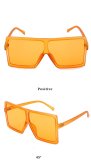 BLS26 Fahion Candy Colorful Sunglasses 2740