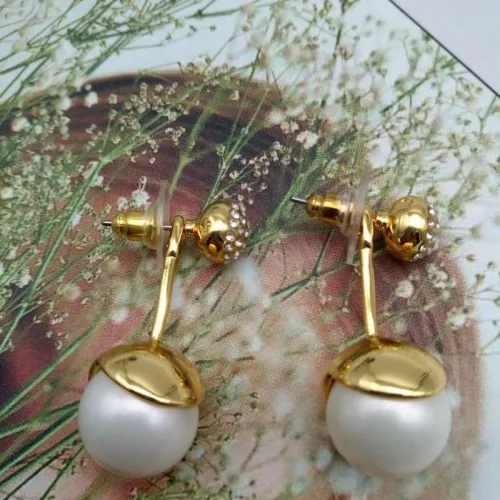 Earring176 Fashion Earrings huimeike