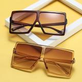 XHY2 Sunglasses Sunnies Shades LS1702 BY011