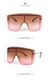 BLS27 Sunglasses Sunnies Shades Eyewear 8220