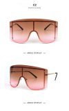 BLS27 Sunglasses Sunnies Shades Eyewear 8220 BY004