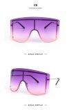 BLS27 Sunglasses Sunnies Shades Eyewear 8220