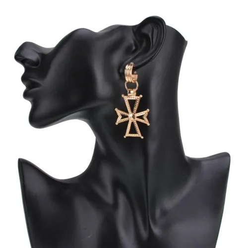 Earring110 Fashion Earrings