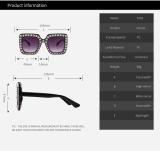 BLS21 Crystal New Design Suglasses Sunnies Shades
