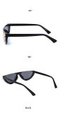 BLS24 Crystal Sunglasses Sunnies Shades GV0287
