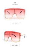 BLS27 Sunglasses Sunnies Shades Eyewear 8220 BY004