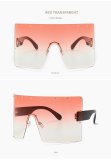 BLS28 Sunglasses Sunnies Shades Eyewear 8219