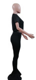 007  Fashion Bodysuit Bodysuits M1013