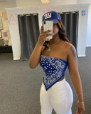 8053 Fashion Bodysuit Bodysuits