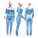 Fashion Bodysuit Bodysuits Y15412