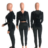 Fashion Bodysuit Bodysuits Y15412