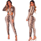 Y044 Fashion Bodysuit Bodysuits