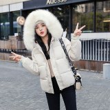 HC-913 Winter Bubble Coats Puffer Coats Downcoats