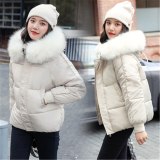 HC-913 Winter Bubble Coats Puffer Coats Downcoats