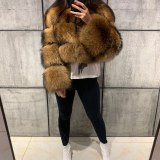 Faux Fur Coat Long Sleeve Coats  0012456