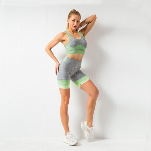 Women Gym Clothes Sport Fitness Suit Yoga Sets