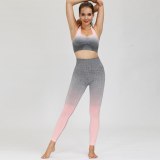 Seamless 2PCS Sets Women Fitness Tracksuit Yoga Set Sportsuits