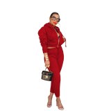 Women's Active Tracksuit Tracksuits Z103849