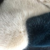 High Quality Faux Fox fur Coat Coats  WT-25