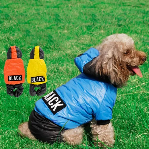 Autumn And Winter Pet Clothes BG-Y11269