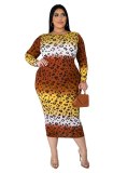 Women Long Sleeve Leopard Plus Size Long Dress Dresses 892839