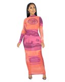 US Money Dollar Print Vintage Long Party Dresses D8495