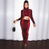 Sexy Winter Snake Skin Print Long Dress Bodysuits Bodysuit Outfit Outfits S99127283W