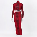 Sexy Winter Snake Skin Print Long Dress Bodysuits Bodysuit Outfit Outfits S99127283W
