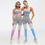 Women Fitness Sport Leggings Yoga Pants ZC242738