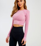 Sexy Women Breathable Seamless Crop High Stretch Tight  Tops T312031