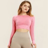Sexy Women Breathable Seamless Crop High Stretch Tight  Tops T312031