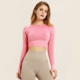 Sexy Women Breathable Seamless Crop High Stretch Tight  Tops T312031