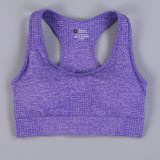 Women Seamless Fitness Sport Bra Running Workout Yoga Bras T23