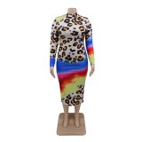 Women Long Sleeve Dress Stretch High Waist Leopard Print Dresses 142435
