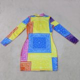 Colorful Print  Zip Mini Dress Long Sleeve Dresses 886677